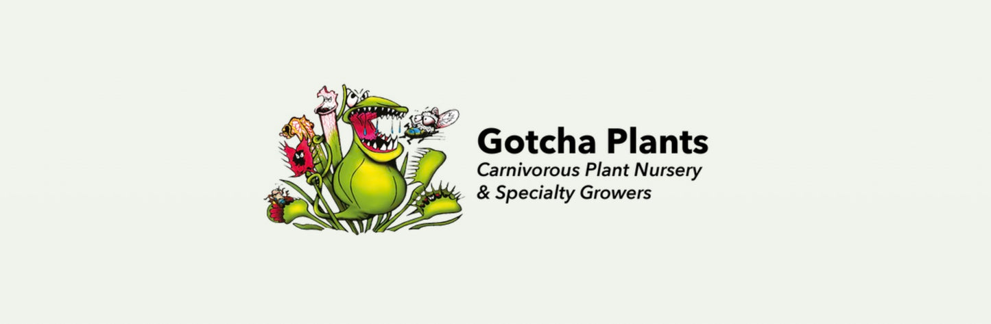 Gotcha Plants Gift Card