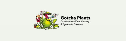 Gotcha Plants Gift Card